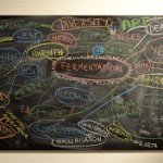 SOCIAL FERMENTATION IN PRAGUE