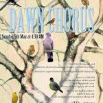 DAWN CHORUS