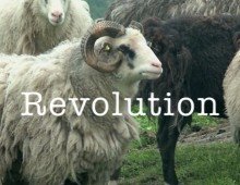 Out of our Minds – the unravelling of a gentle revolution